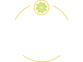 fysis logo main