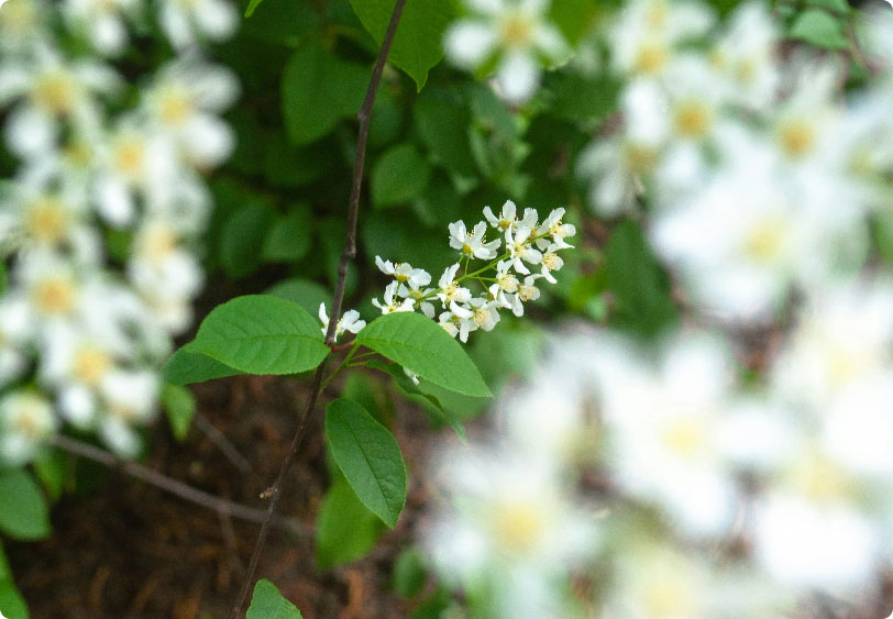ksenia M97EeGflz0A unsplash